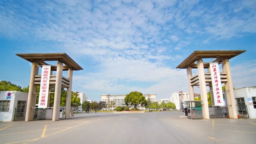 未畢業(yè)就定崗，一畢業(yè)就任教大學……這所職校的學生緣何這么牛？