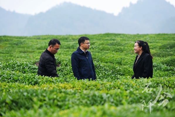 躬身為橋 緊盯供需連接山海 ——記廣東省粵黔協(xié)作工作隊(duì)銅仁工作組石阡小組組長，石阡縣委常委、副縣長李浩泉