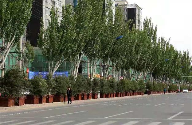 地方“拍腦門(mén)”造綠欠下巨債　 企業(yè)墊資種樹(shù)被拖垮
